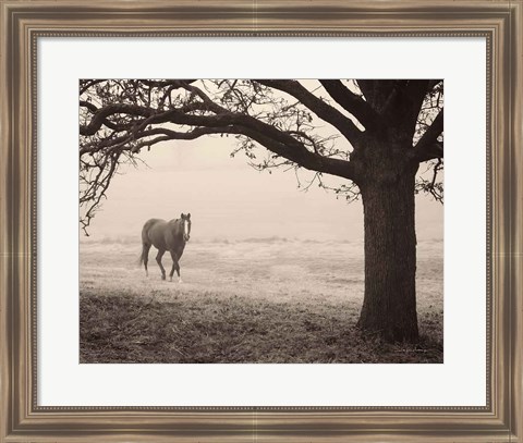 Framed Hazy Horse I Print