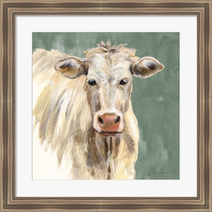 Framed White Cow on Sage Print