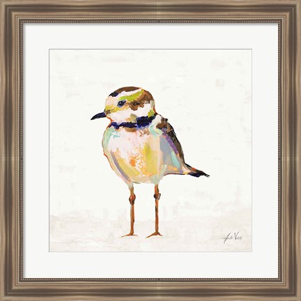 Framed Coastal Plover II Linen Print