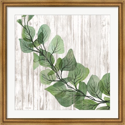 Framed Eucalyptus on White Print