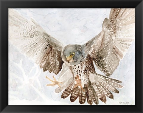 Framed Falcon Print