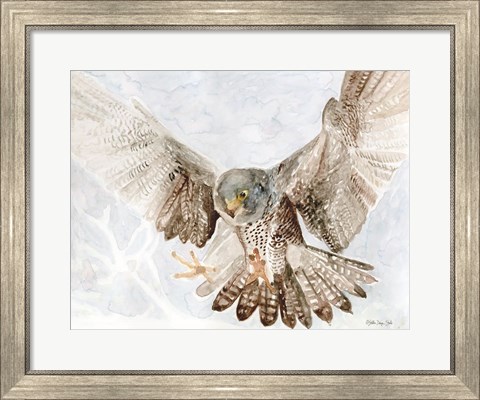 Framed Falcon Print