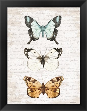 Framed Butterfly Trio Print