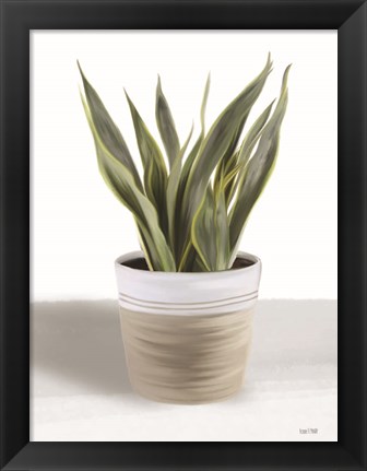 Framed Snake Plant I Print