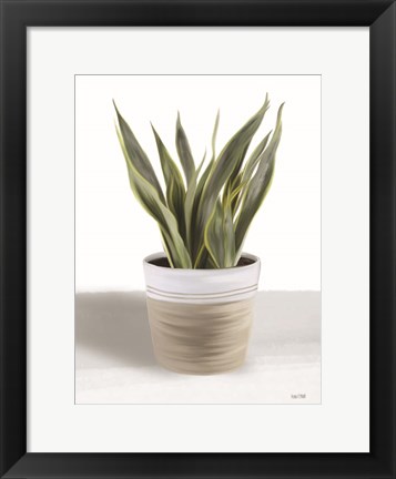 Framed Snake Plant I Print