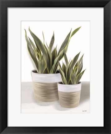 Framed Snake Plant II Print