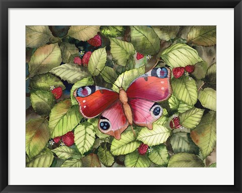 Framed Majestic Butterfly Print