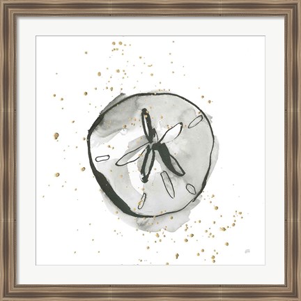 Framed Sand Dollar II Print