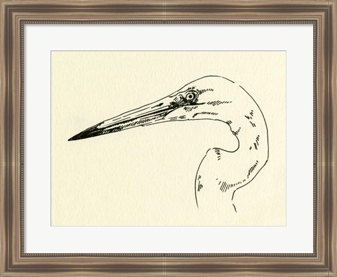 Framed Heron Head II Print