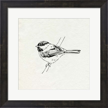 Framed Bird Feeder Friends II Print
