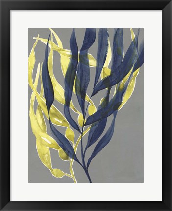 Framed Kelp Embrace II Print