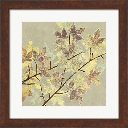 Framed Renewed Maple I Print