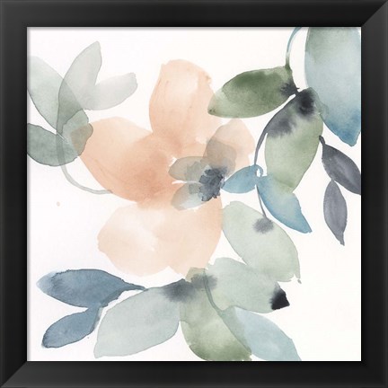 Framed Water and Petals IV Print