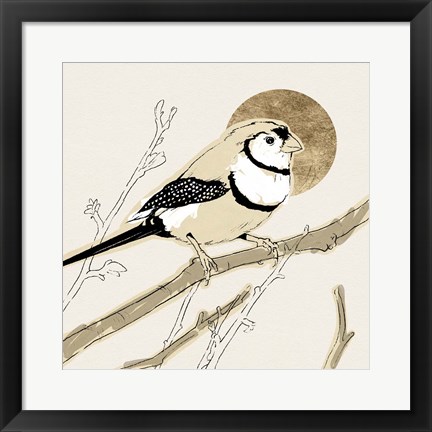 Framed Spring Passerine I Print