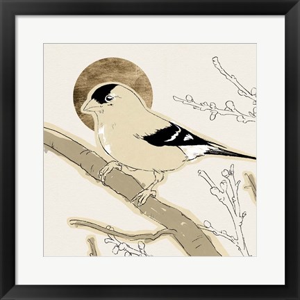 Framed Spring Passerine IV Print