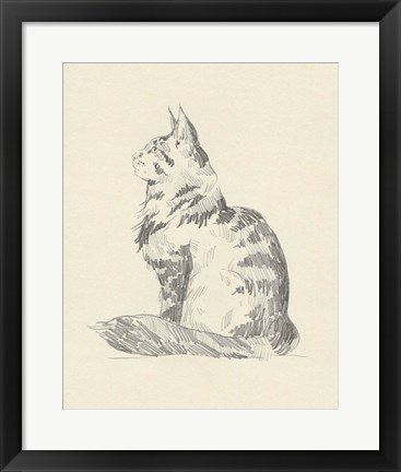 Framed House Cat II Print