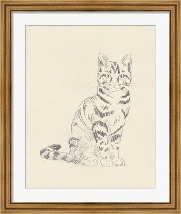 Framed House Cat IV Print