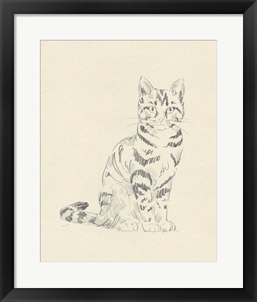 Framed House Cat IV Print