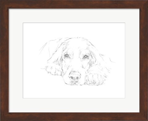 Framed Lazy Dog II Print