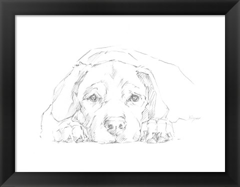 Framed Lazy Dog III Print