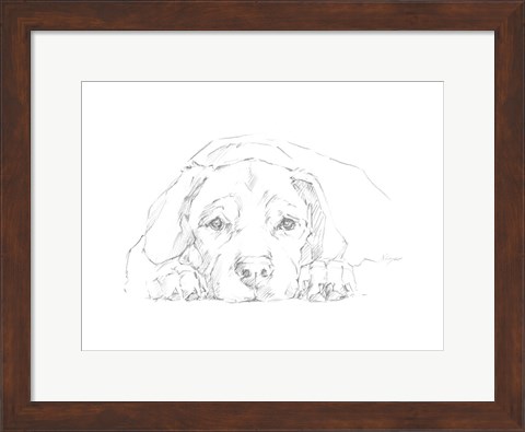 Framed Lazy Dog III Print