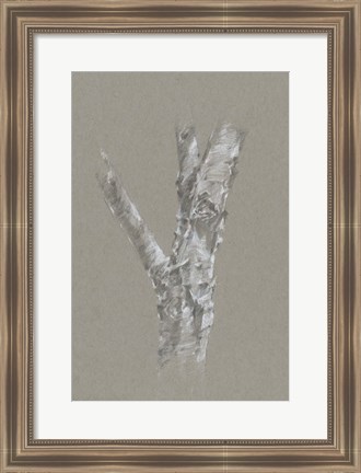 Framed Chalk Birch Study II Print