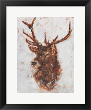 Framed Stag Study I Print