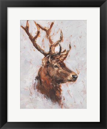 Framed Stag Study II Print