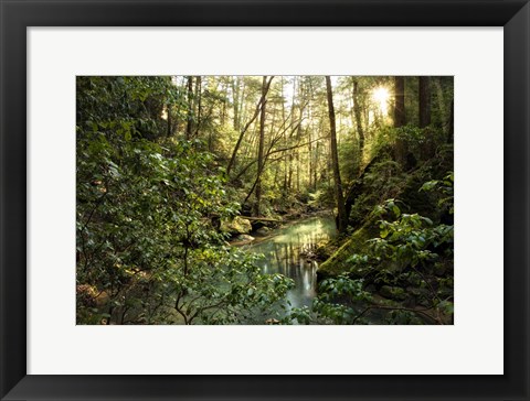 Framed Filtered Light II Print