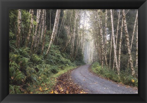 Framed Mountain Drive Print