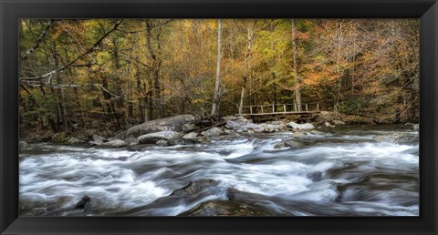 Framed Foot Bridge Print