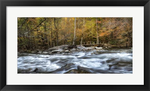 Framed Foot Bridge Print