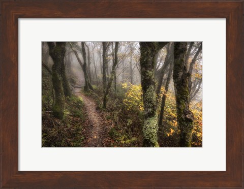 Framed Fog Ahead Print