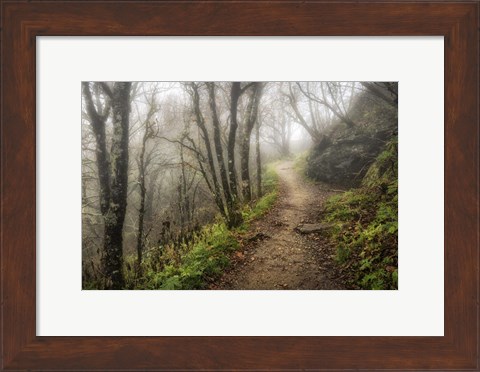 Framed Narrow Path Print