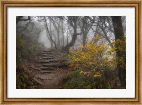 Framed Stone Steps Print