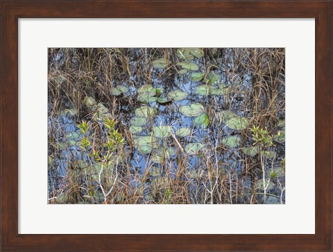 Framed Marsh Print