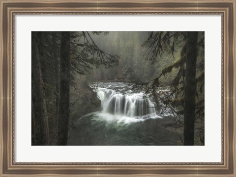 Framed Misty Print