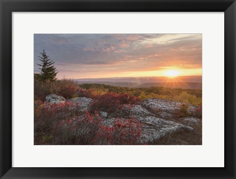 Framed Good Morning Print