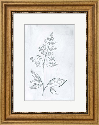 Framed Milkweeds IV Print