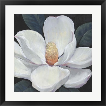 Framed Blooming Magnolia I Print