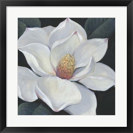 Framed Blooming Magnolia II Print