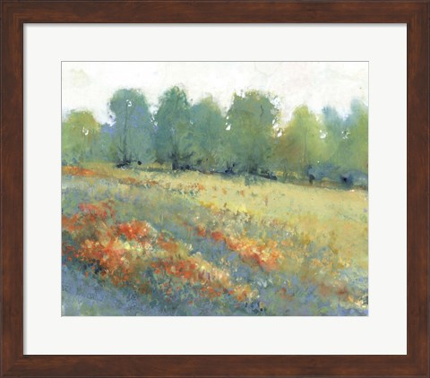 Framed Rural Land I Print