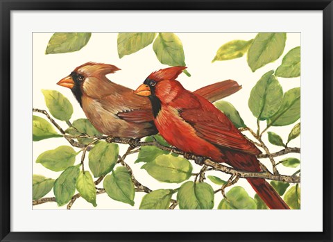 Framed Cardinals Print