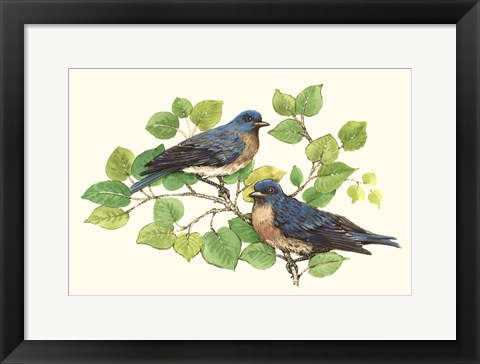 Framed Song Birds I Print