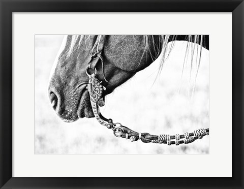 Framed Equine Portrait II Print