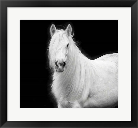 Framed Equine Portrait V Print