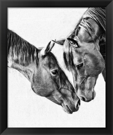 Framed Equine Portrait VI Print