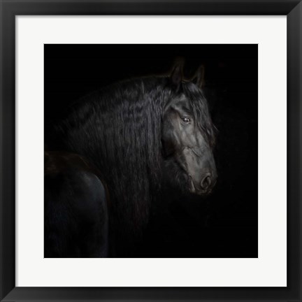 Framed Equine Portrait X Print