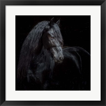 Framed Equine Portrait XI Print