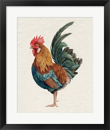 Framed Watercolor Rooster II Print